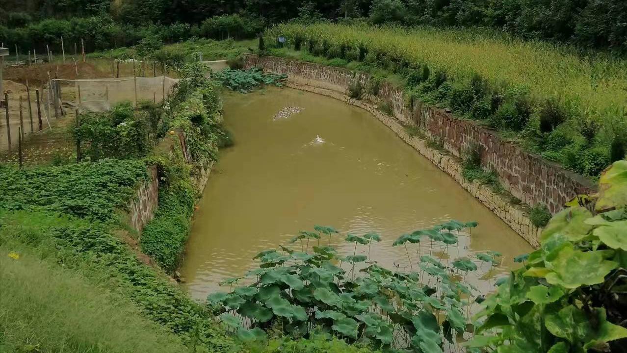 11-12月份的旅游民宿,河洛汇流景区附近的民宿