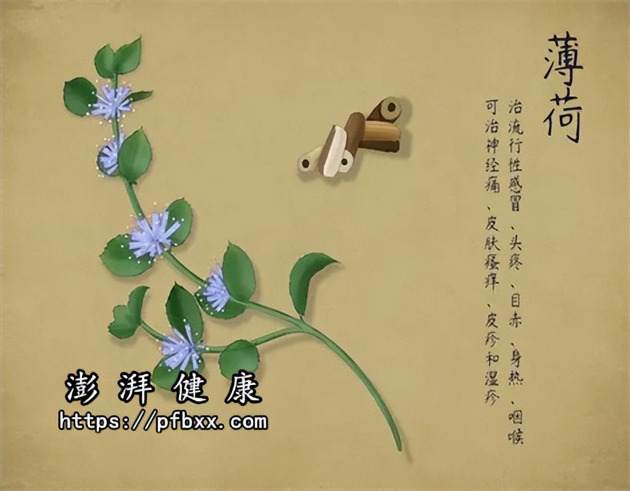 额头脖子背后面长痘痘有脓包很疼可以挤吗怎么办