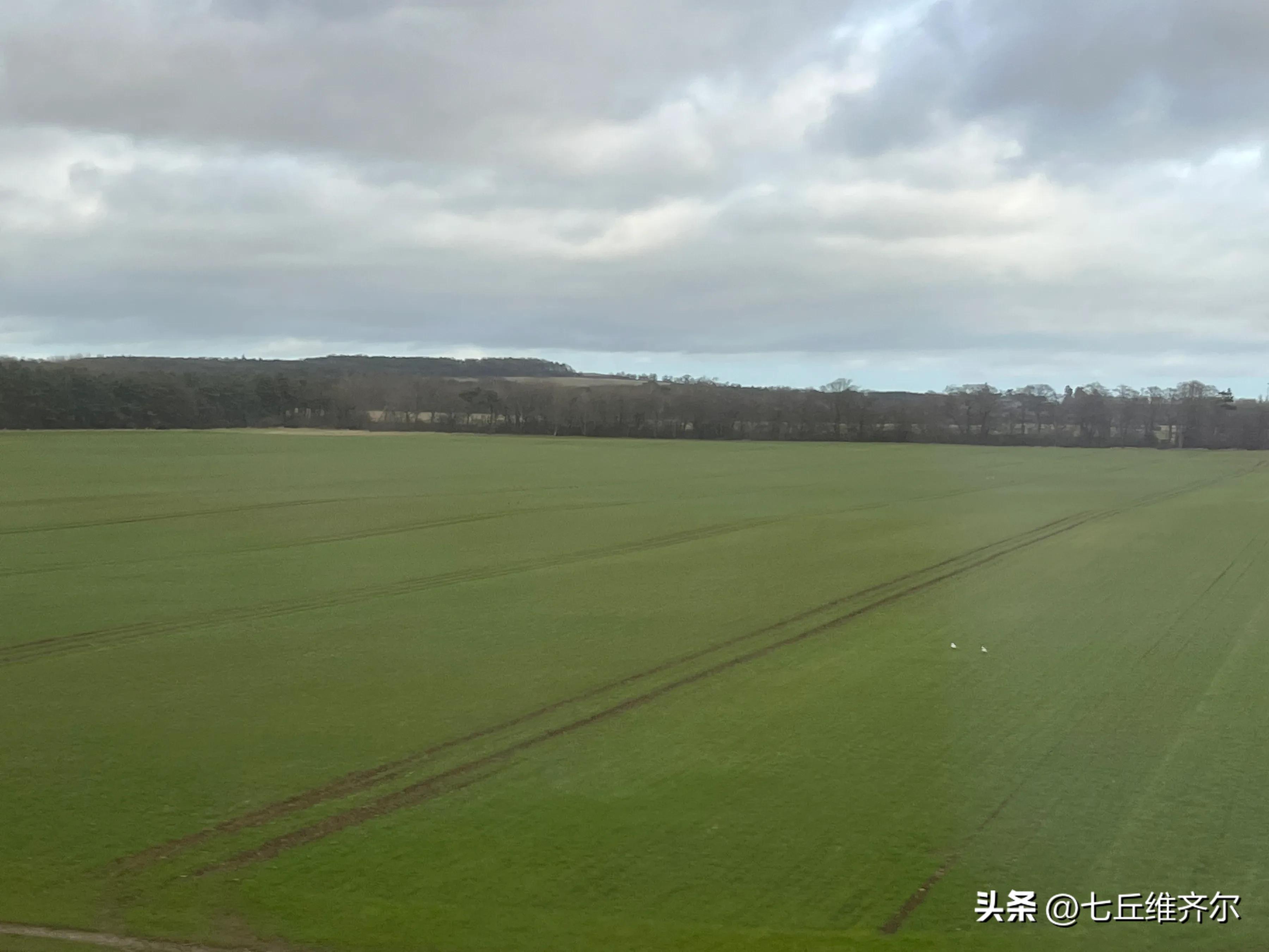 牛羊满圈的上联下联,水肥草美牛羊壮上联