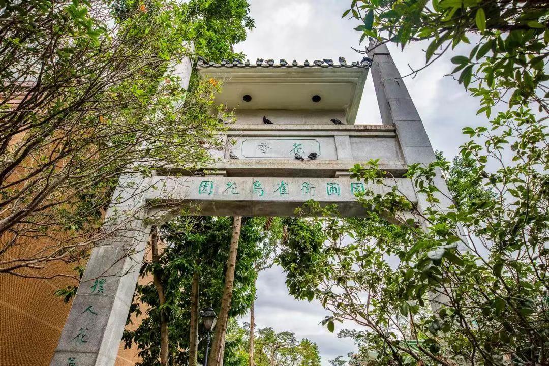 香港美食天堂旺角,香港旺角美食打卡地