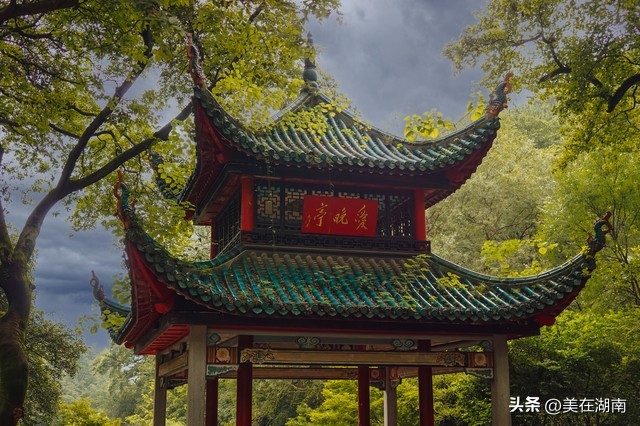 去长沙吃美食去哪个景点更合适,去长沙旅游有什么好吃的