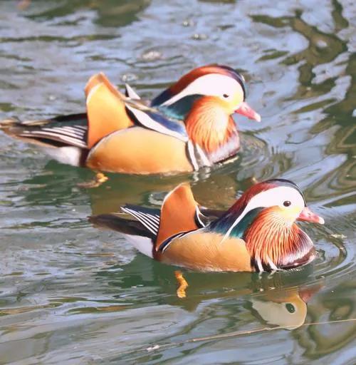 那些年我经历过的事情,那些年我经历过的曲折