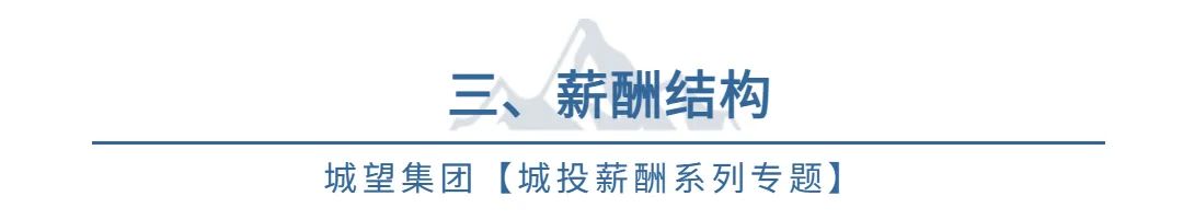 项目工资制薪酬方案,城投人才引进薪酬