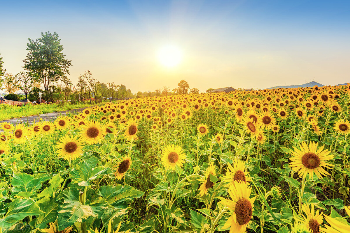 差旅费可以抵扣的进项税额,差旅费哪些发票进项可以抵扣