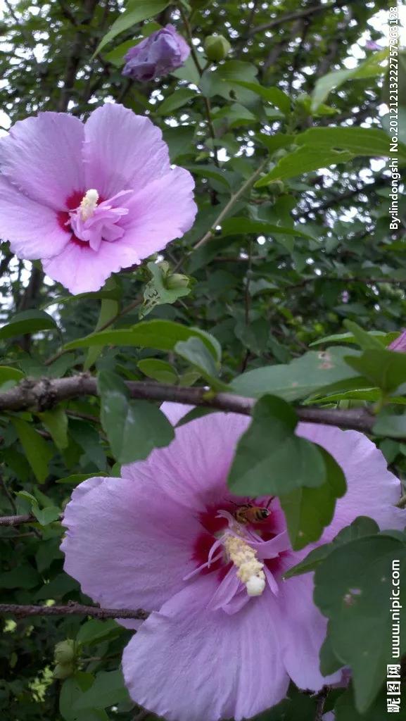 妻的周六平庸又充实