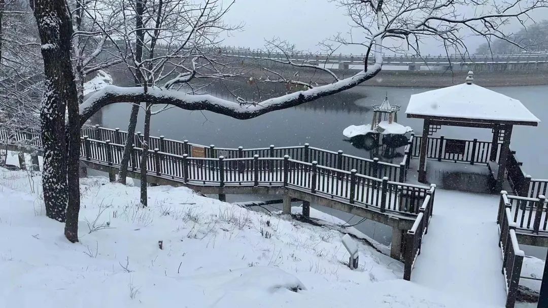 雪落成白墨影成殇,零落成妆