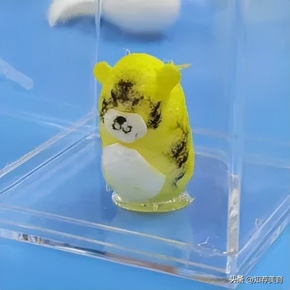 探寻桑蚕文化感受桑蚕之美,走进蚕桑研究所探寻蚕桑文化