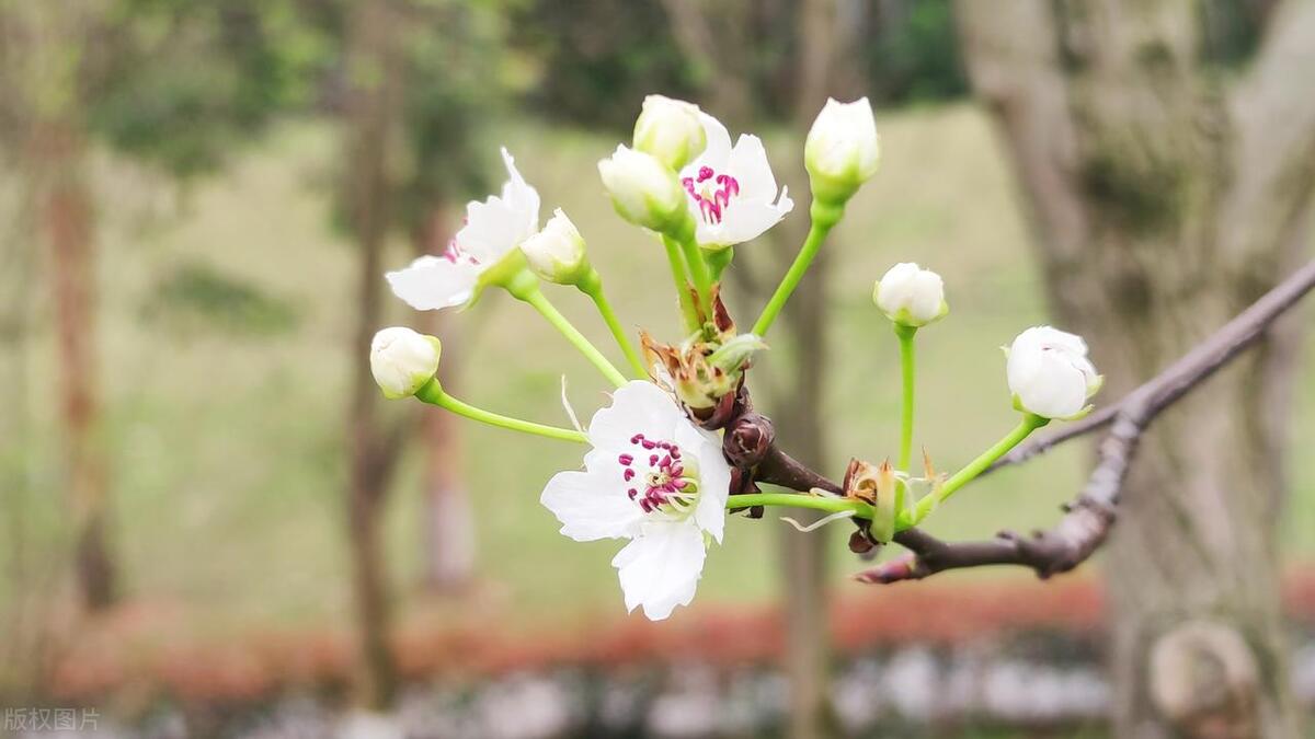 长安三万里里面的古诗集锦,长安三万里经典的古诗