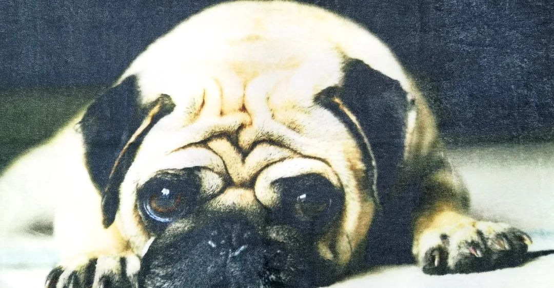 毛巾印花技术,毛巾绒印花工艺