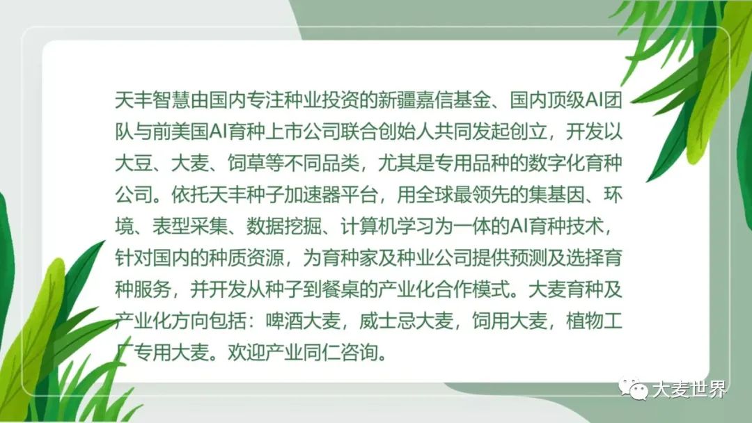 麦芽公司发展前景,麦芽上市了吗