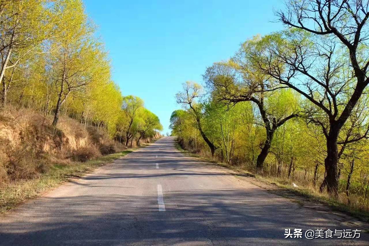 “开边须筑路，救国仗书生”，中国公路泰斗——赵祖康