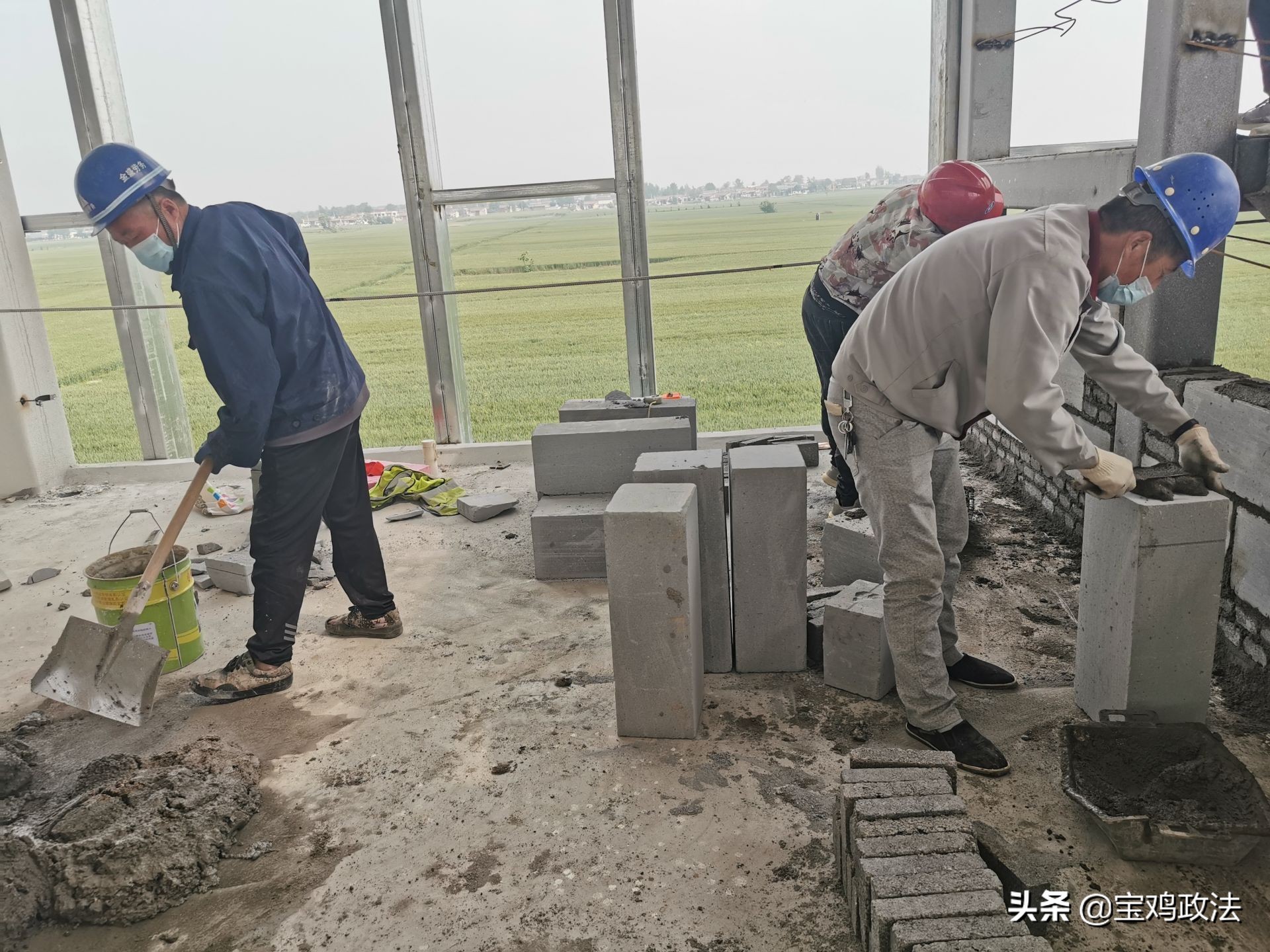 小面皮大产业,小面皮灵璧