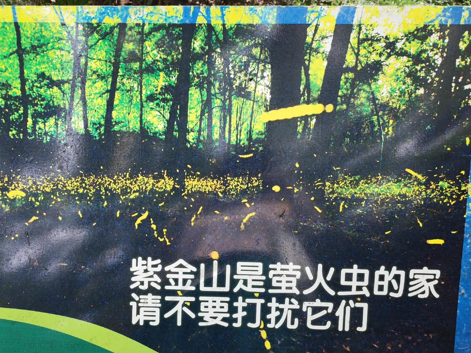 南京带孩子旅游攻略最新,南京亲子游玩攻略一日游价格