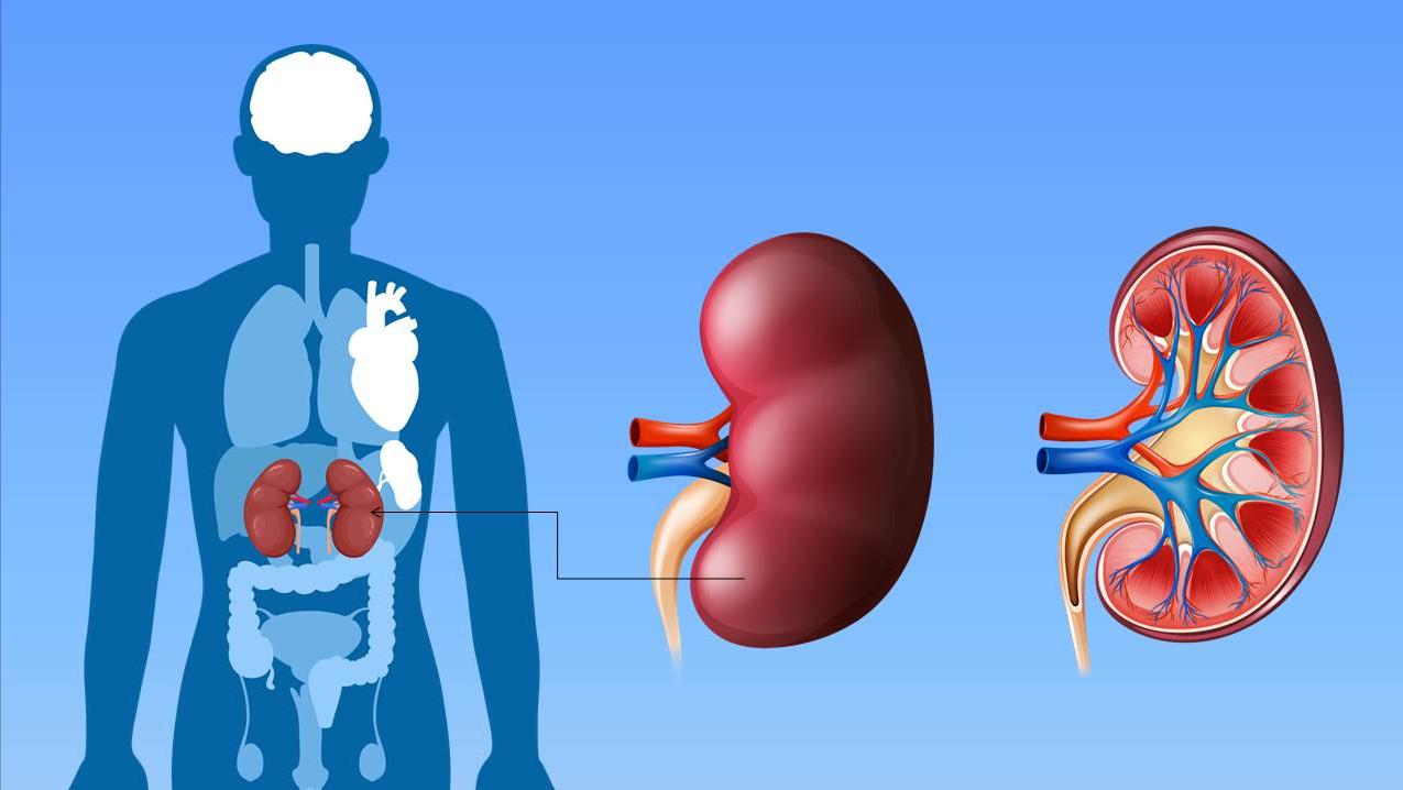 慢性肾衰会引起膝盖疼吗,肾衰病人小脚骨疼是什么原因