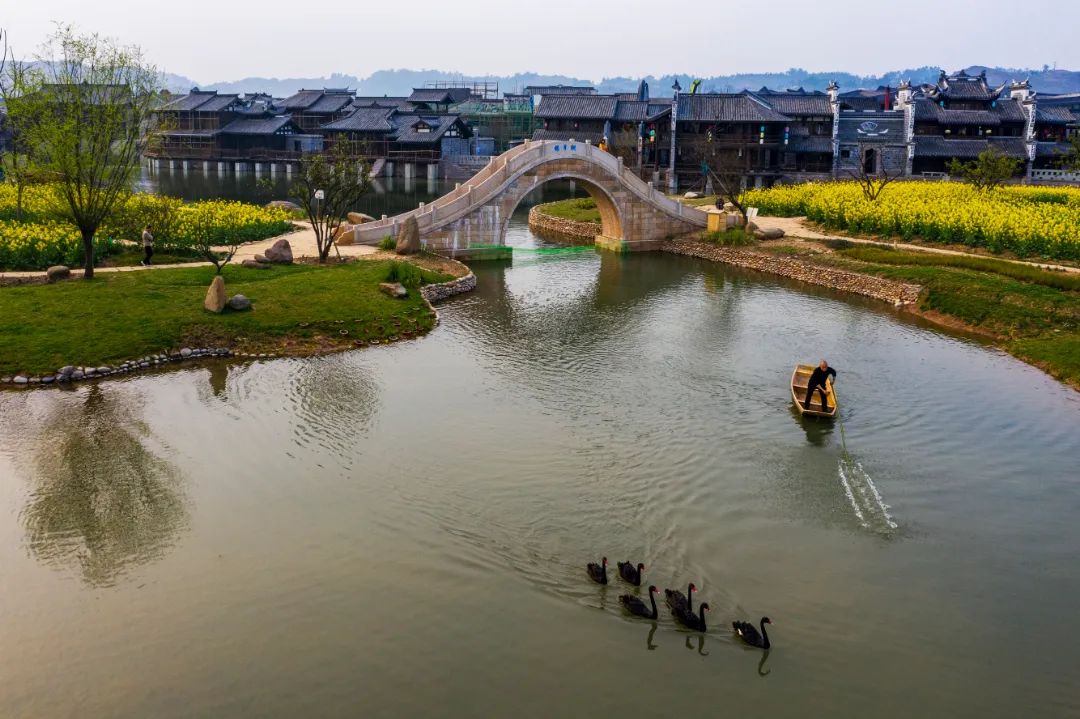 清明节逛李庄古镇,云逛自然博物馆