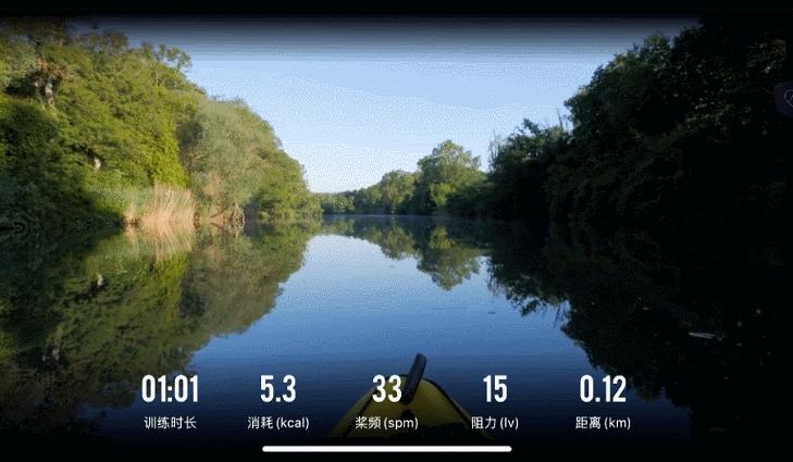 麦瑞克划船机q1有什么好的功能,麦瑞克划船机q1和q1s怎么选