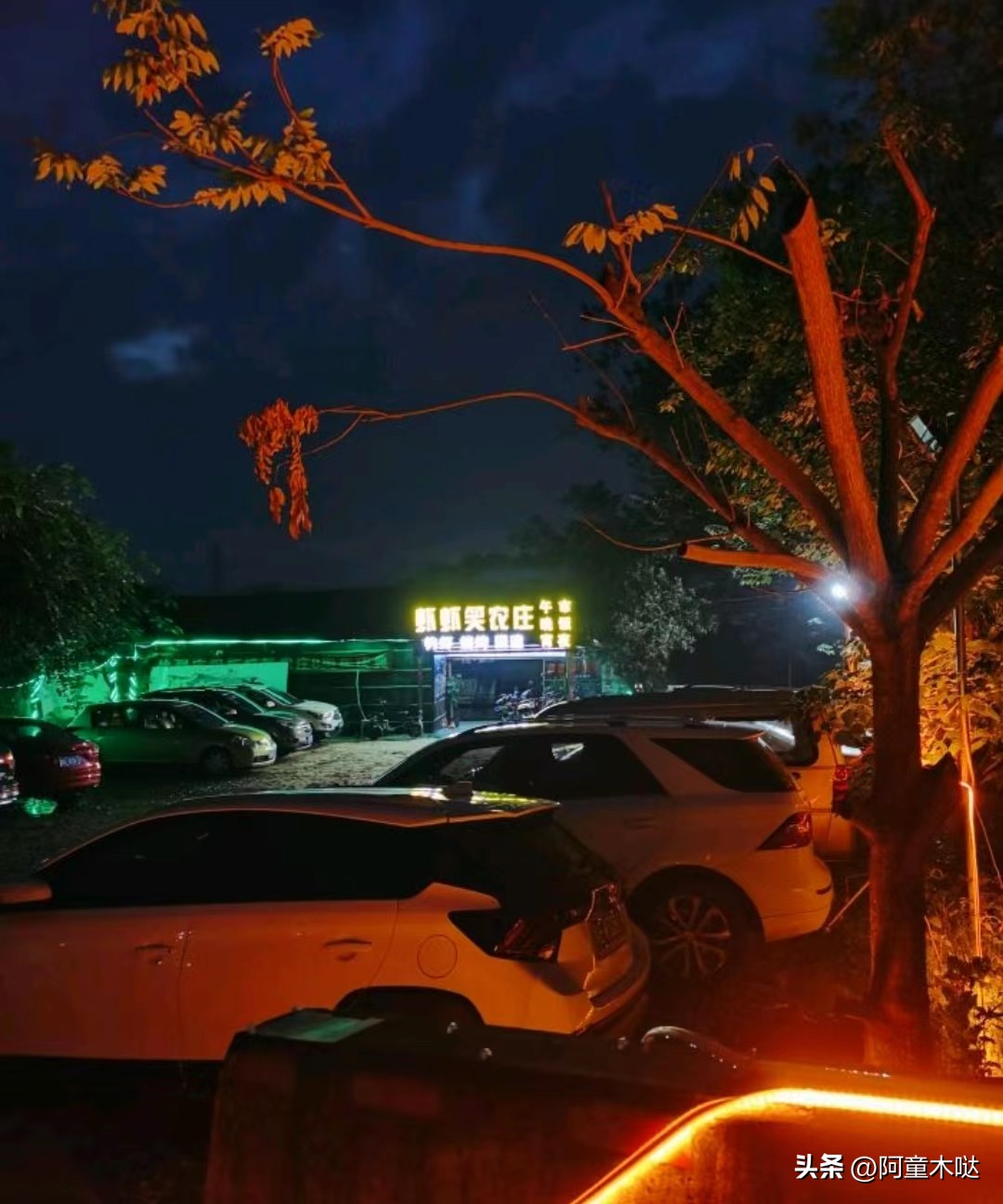 容桂农庄哪家好,容桂农庄便宜又好吃的地方推荐