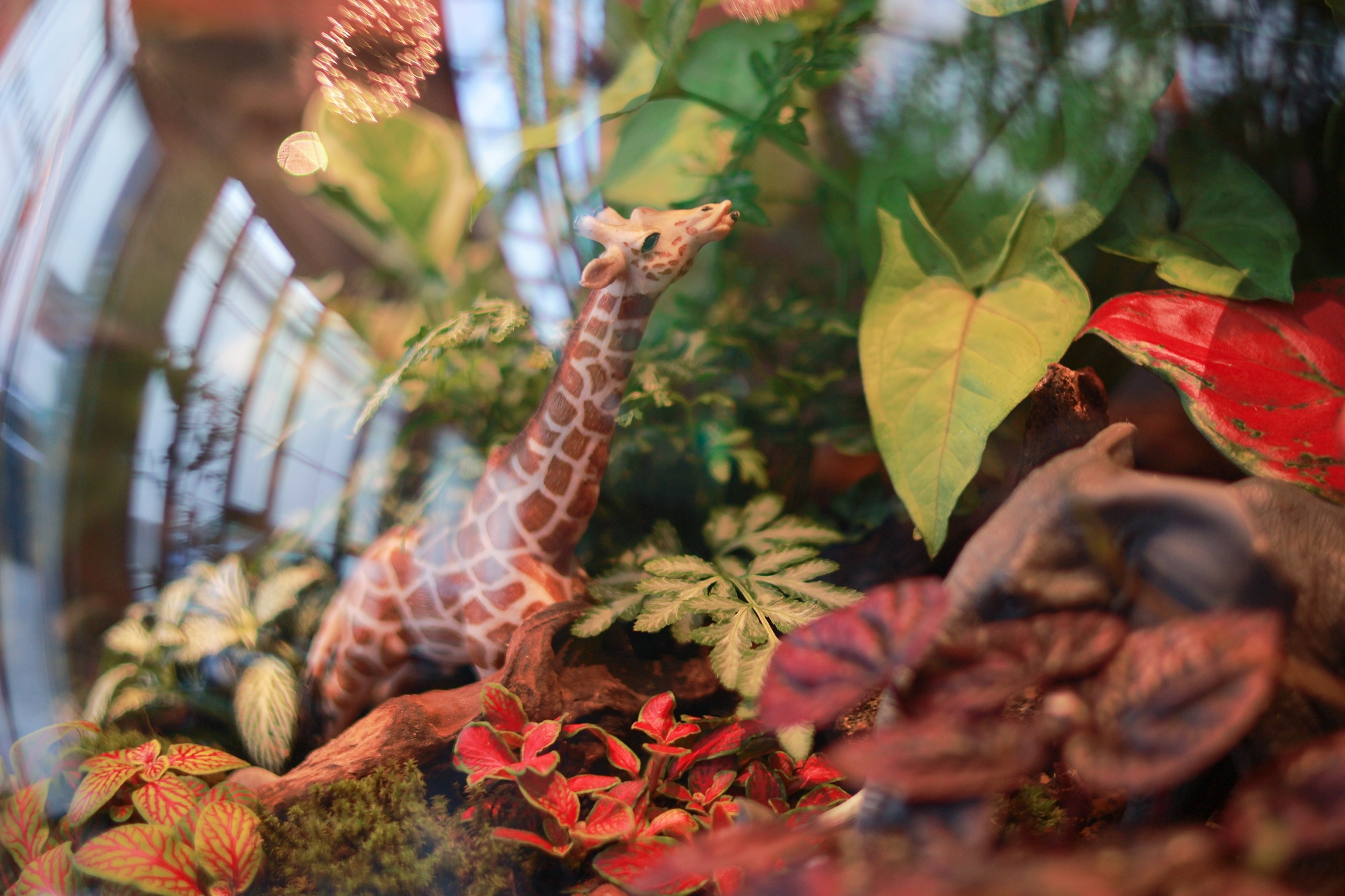 eos佳能轻便小巧,佳能微型相机eos