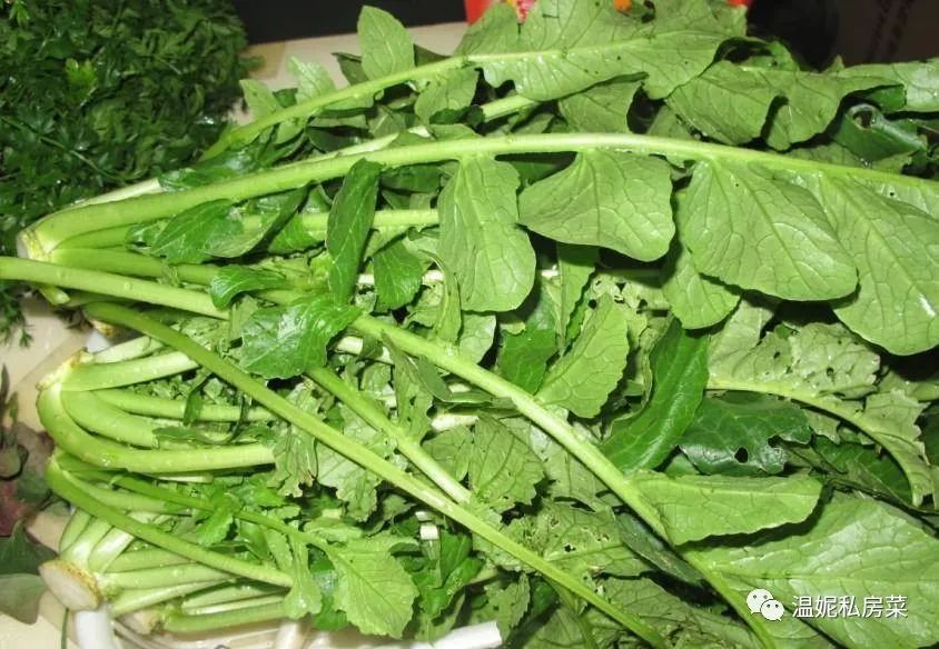 好吃含钙量高又不贵的钙片,牛奶含钙量高还是钙片含钙量高