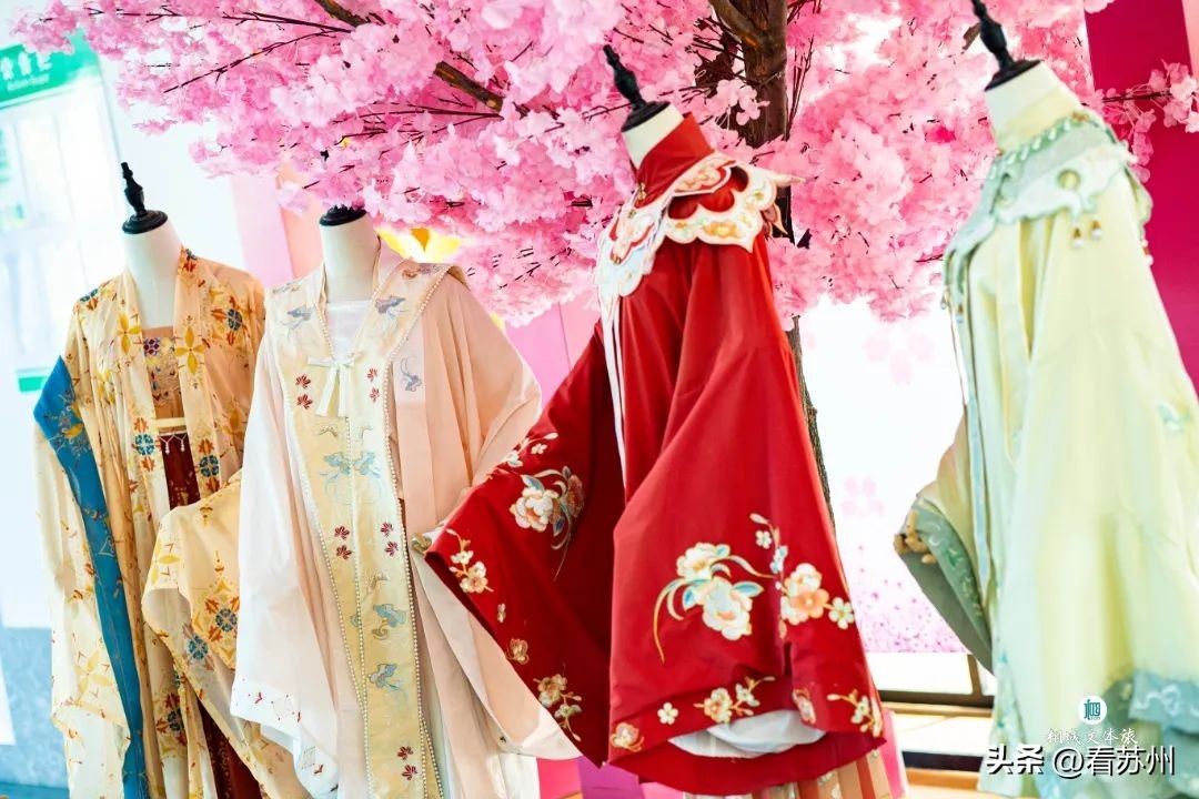 苏州赏花的地方,苏州三月中旬赏花去处