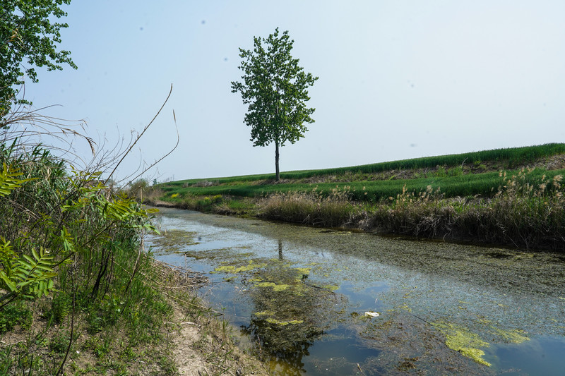 宿州靠谱的景点,宿州市埇桥区小众景点