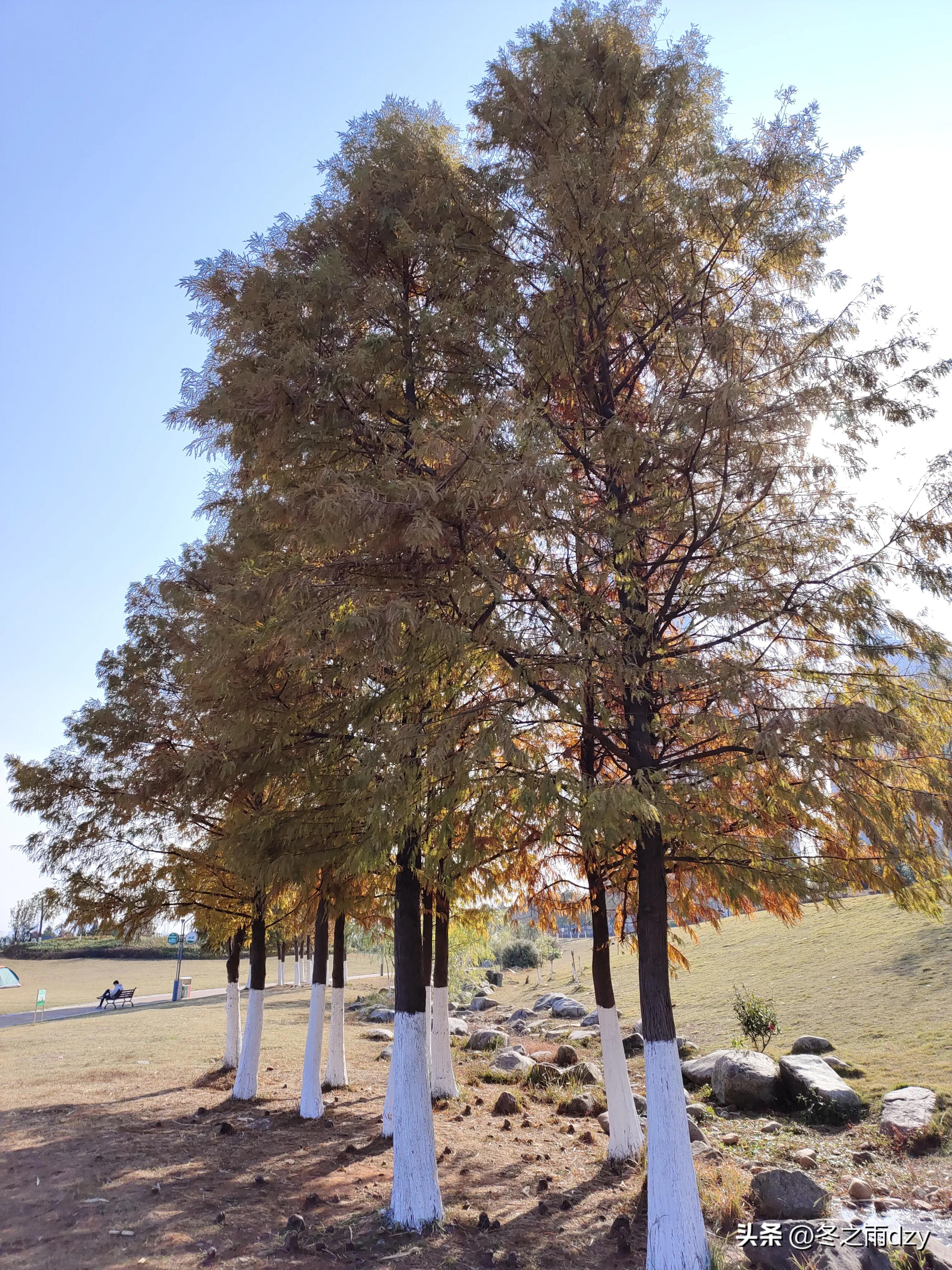 南昌舰主题园凤凰洲湿地公园,凤凰洲建军广场