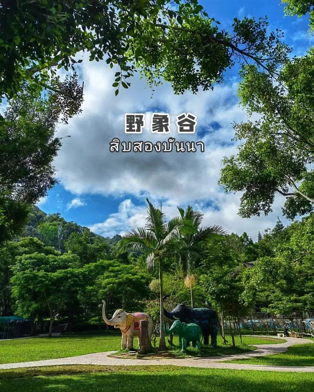 西双版纳旅游攻略两分钟视频,西双版纳旅游攻略摄影