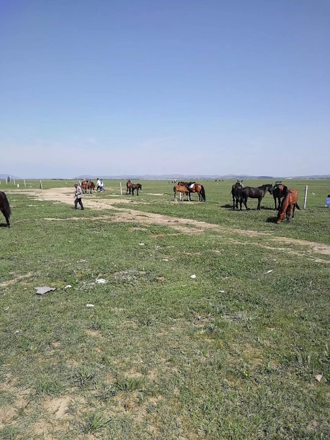 河北丰宁坝上草原特产,河北丰宁坝上草原大汗行宫