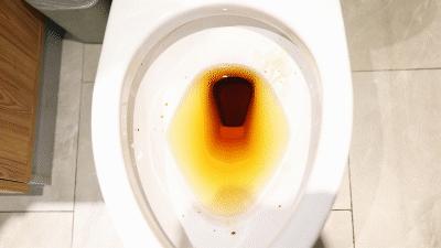 精装房入住必买的家居用品,刚装修的家都需要买哪些家居用品