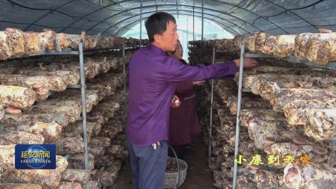 陕北好山好水好风光,延安市洛川黄连河景区