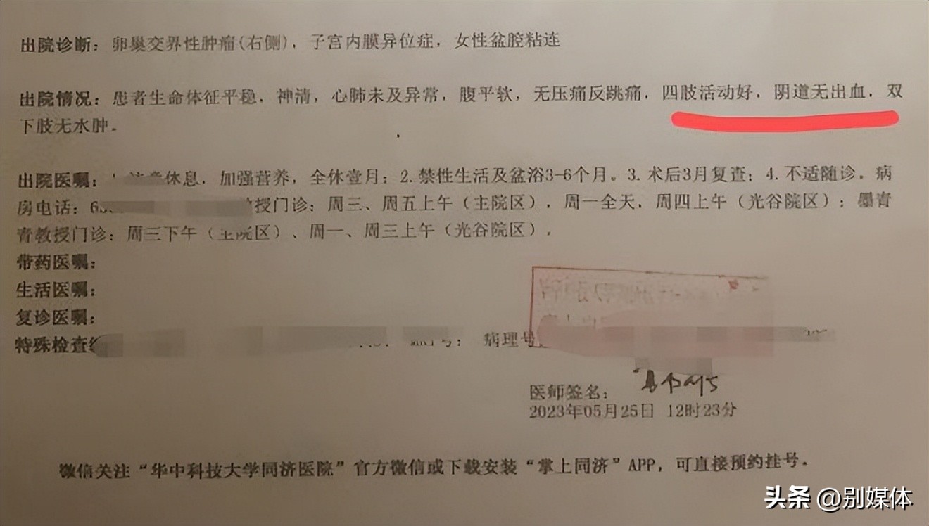 一块纱布的故事,一块纱布能干什么