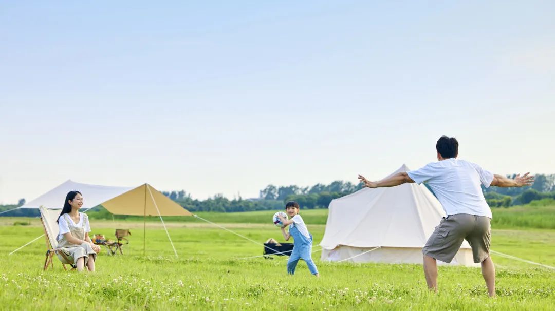 举办世界杯有什么好处,看世界杯足球赛的好处