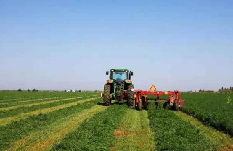 我国农村产业发展的现状及前景,农村产业发展存在的问题和对策