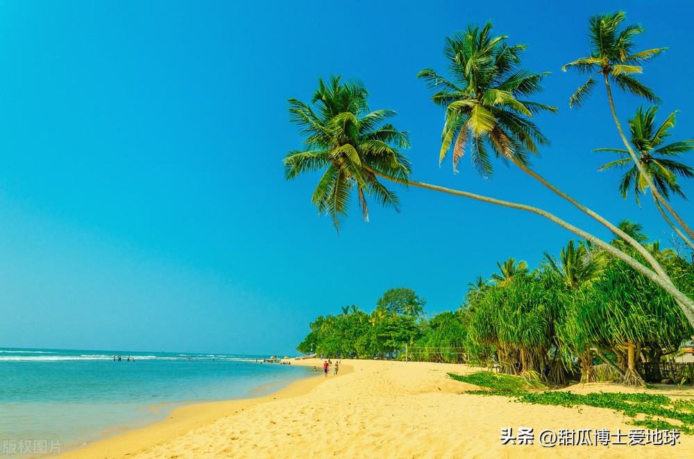 人类通过虎鲸发明了什么,人类首次发现虎鲸什么时候