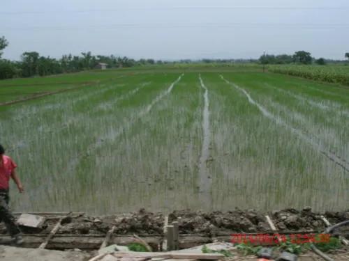 宣州“大风歌”之二十四、养贤风尚