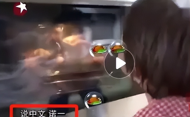 “只讲英文”李安琪：嫁*小鹏李**13年，从不说中文，哪来的优越感？