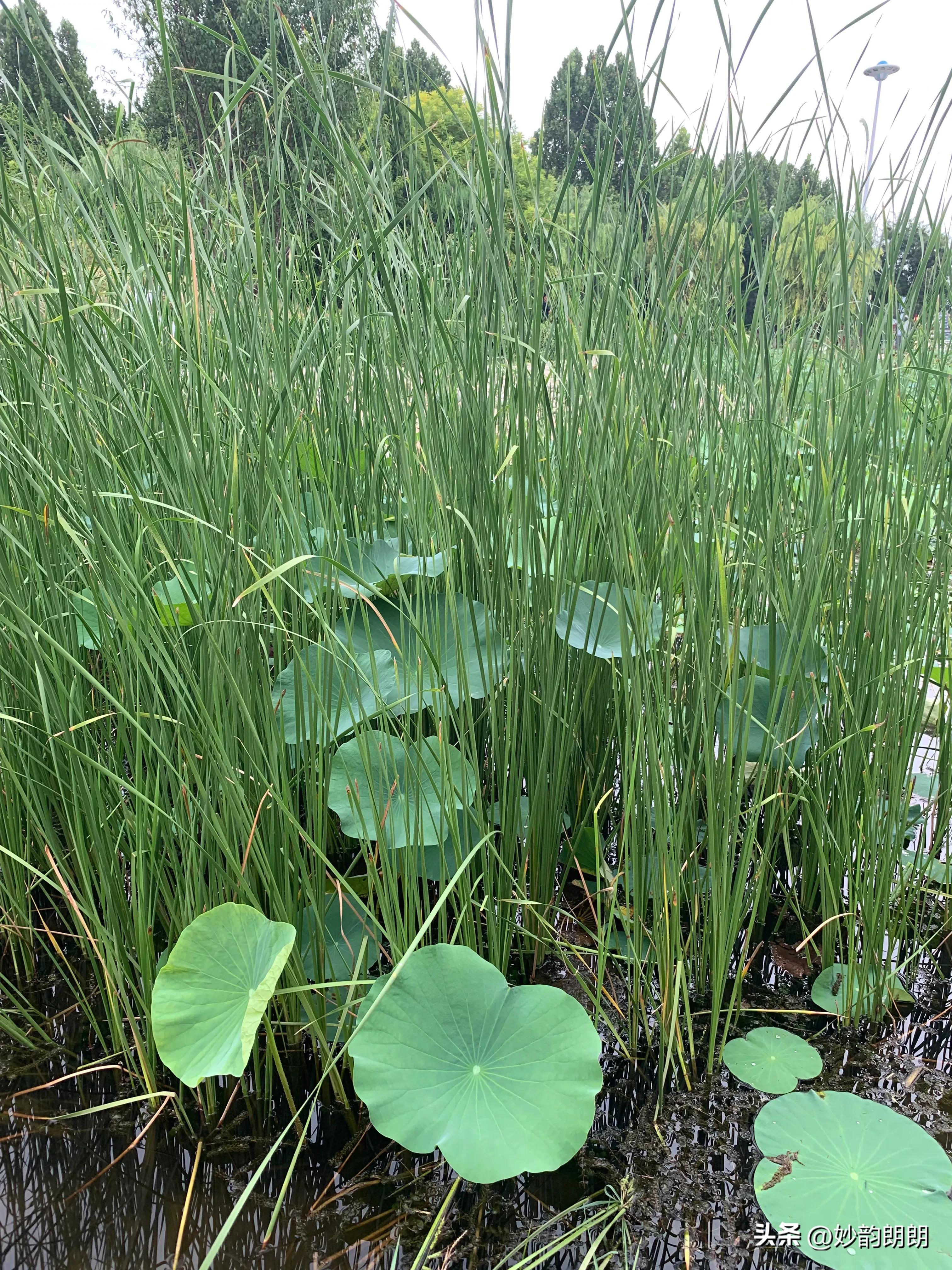 日本已正式开始核污水排海,如何看待日本核废水排海事件