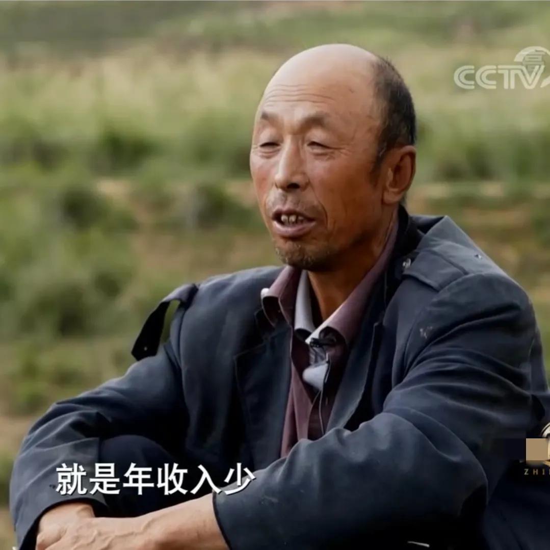 小伙承包80亩土地变成基本农田,农村小伙承包300亩地