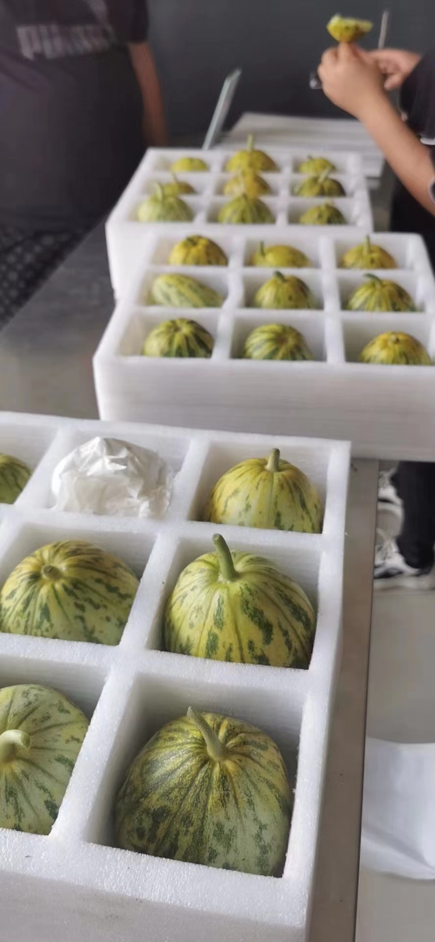 顺丰速运助力果农,顺丰速运生鲜速配时效