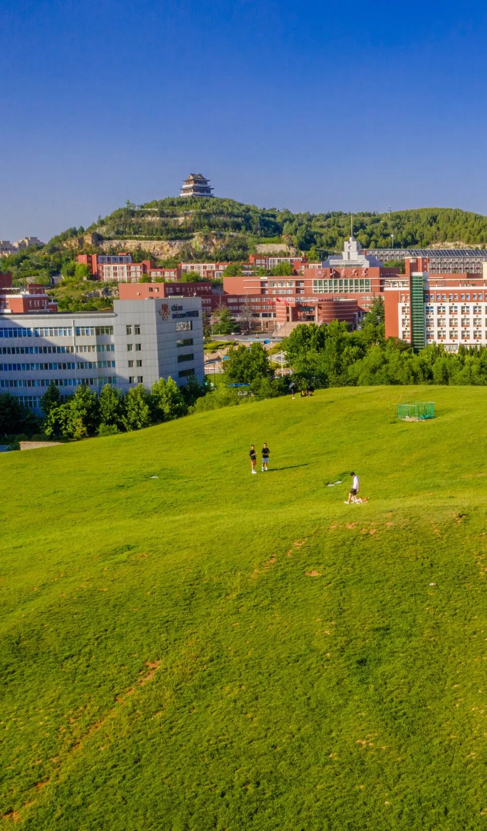 山东有海有雪有山有平原,山东有没有广阔草原