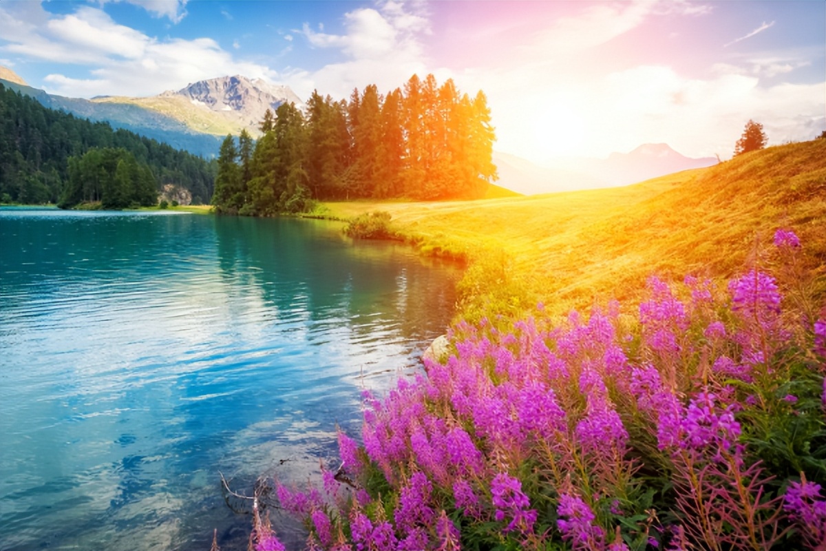 女人对男人过度精神依赖什么表现,当女人对你精神依赖是什么表现