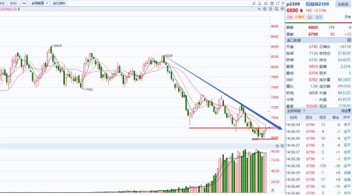 20230526需求依旧乏力,棕榈油弱势反弹