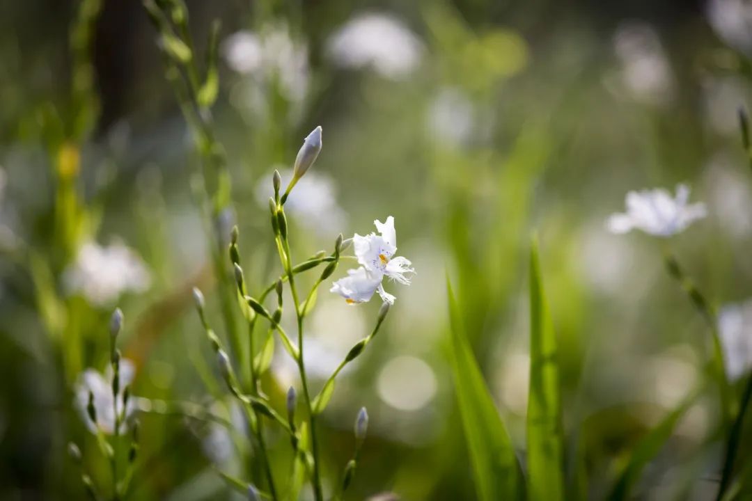国学名著140句金言值得永久收藏,30部国学名著300句金言