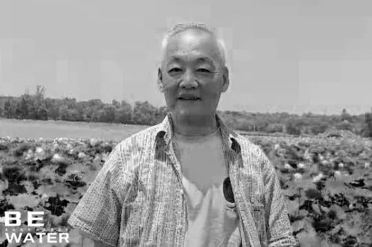 没想到这次分别竟是永别,没想到这次分开就是永别