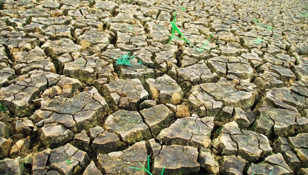 在地球上,每天究竟会出生和死去多少人?现在就告诉你