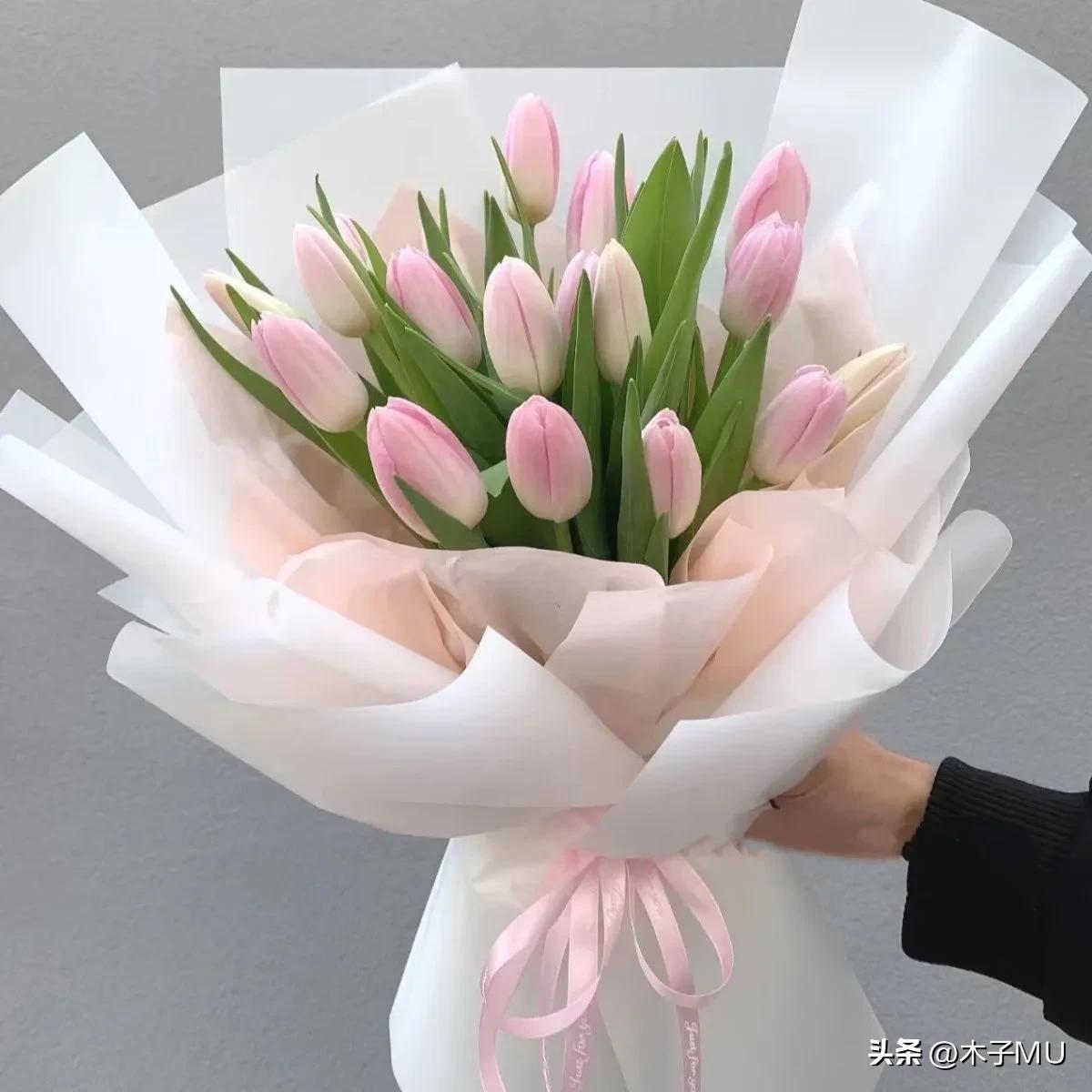 看望病人送什么花合适呢,看望病人送什么花合适