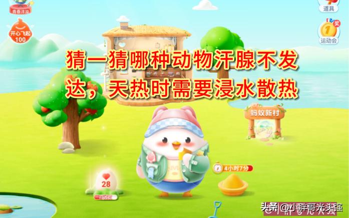 猜一猜哪种动物汗腺不发达,猜一下哪种动物没有汗腺