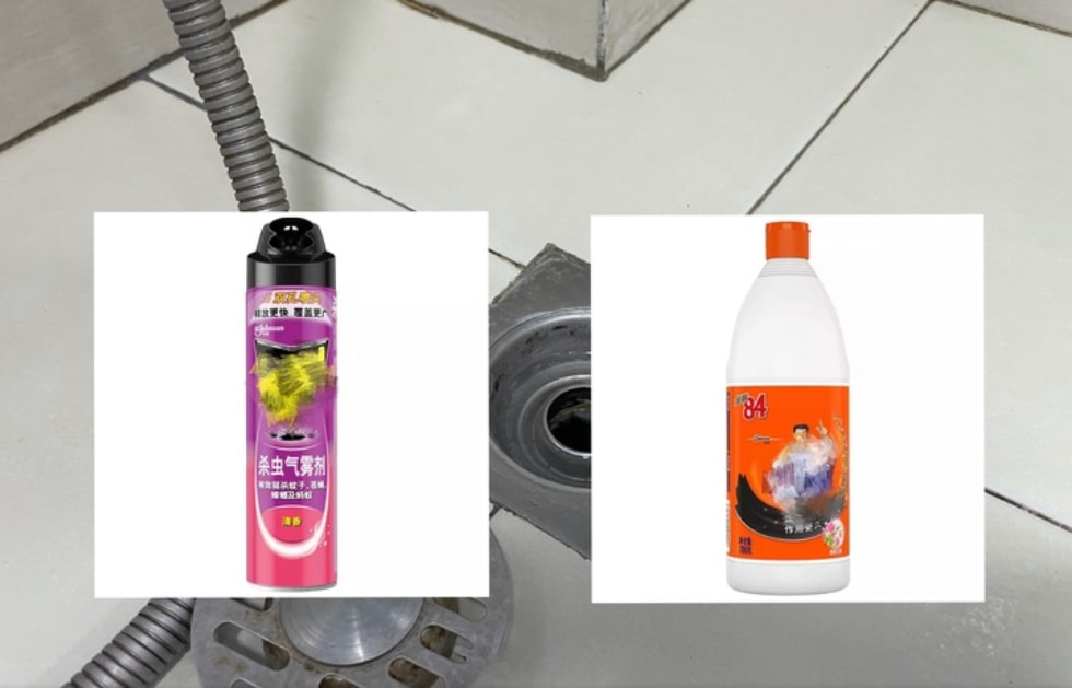 卫生间小飞虫蛾蚋的危害,卫生间小飞虫有多可怕