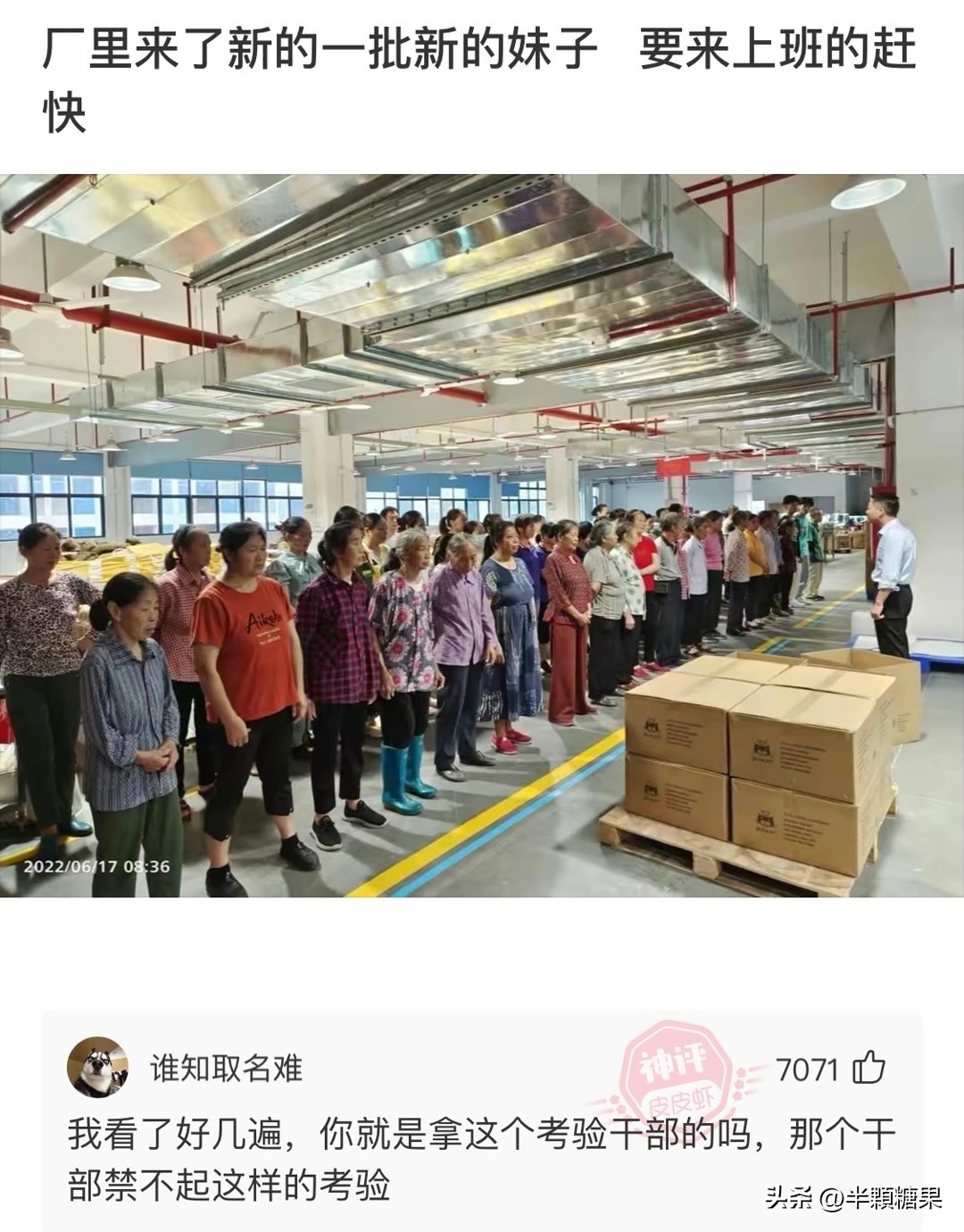 网友爆笑神回复,令人破防的爆笑神回复