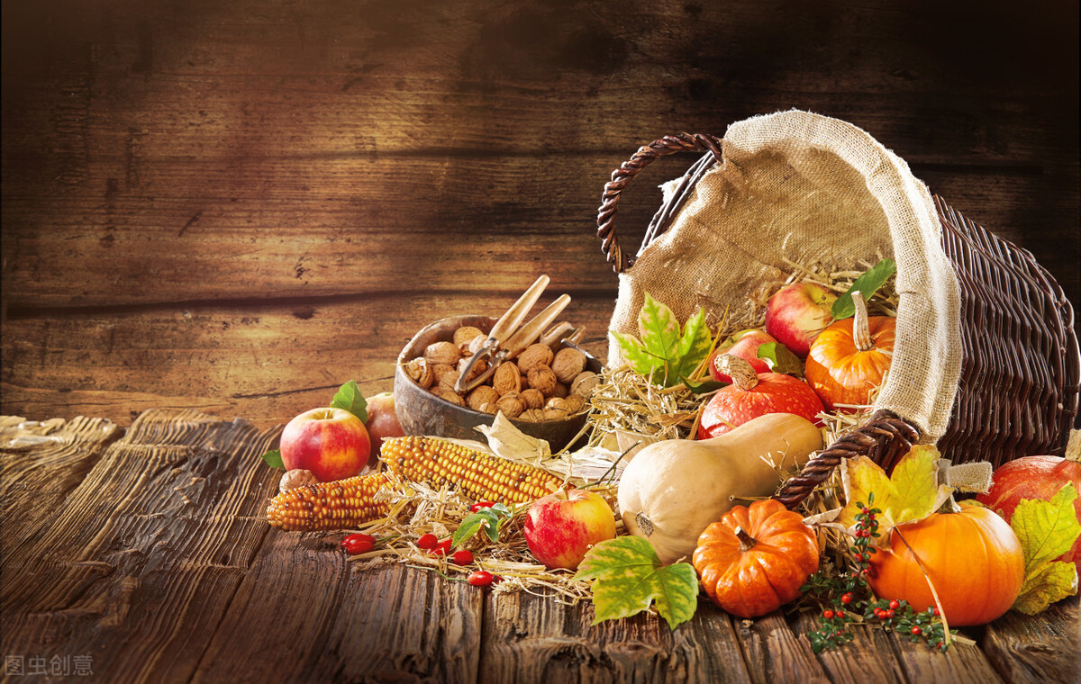 抄书打卡坚持了61天感悟,抄书打卡一百天感悟